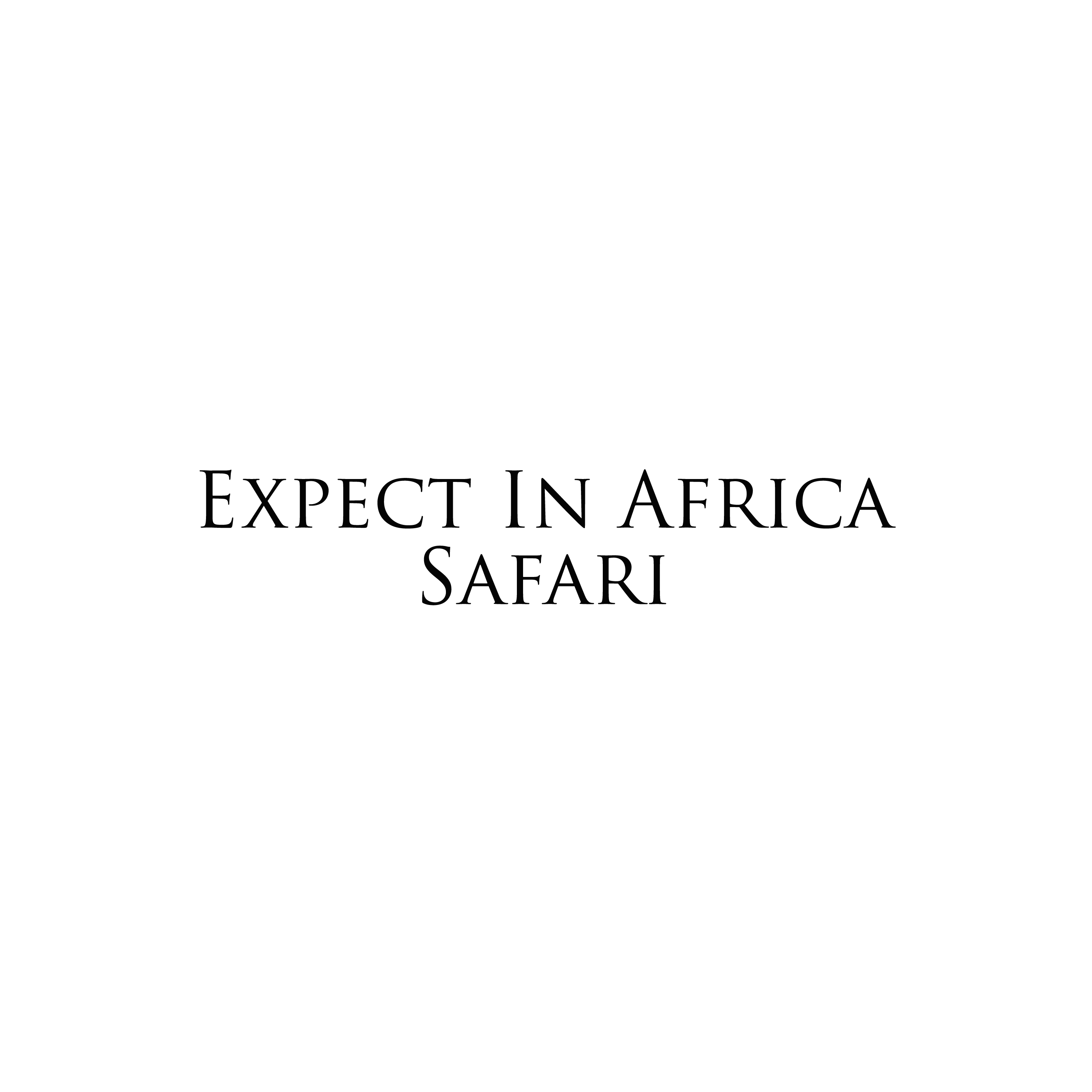 Expect In Africa Safari logo